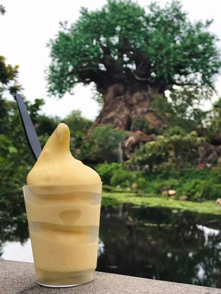 Animal Kingdom Dole Whip with coconut rum 