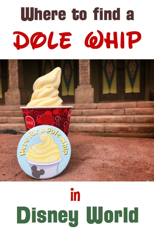 Dole Whip in Disney World