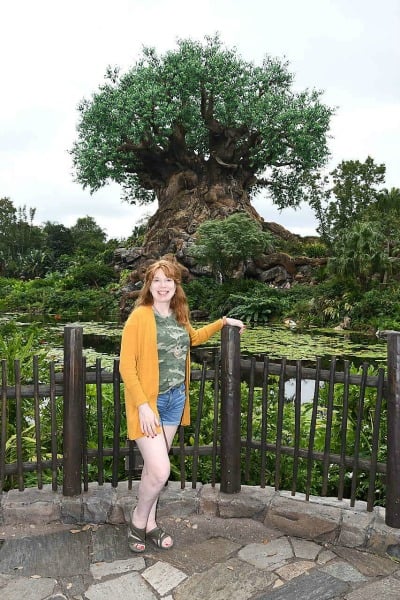 Tree of Life in Animal Kingdom