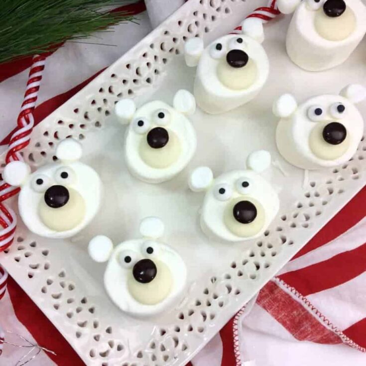 Image for Polar Bear Marshmallows