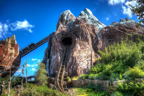 Expedition Everest in Animal Kingdom