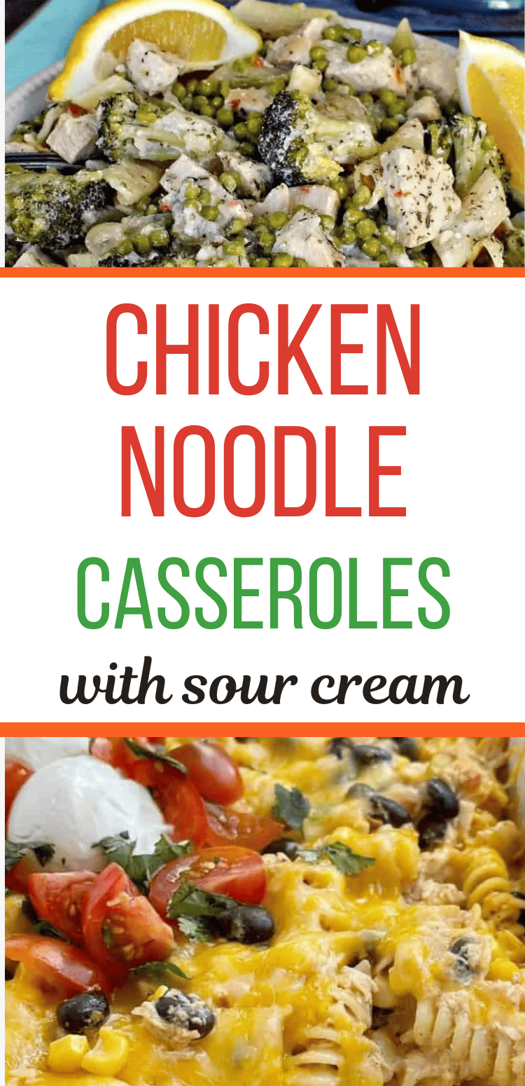 Chicken noodle casseroles with sour cream