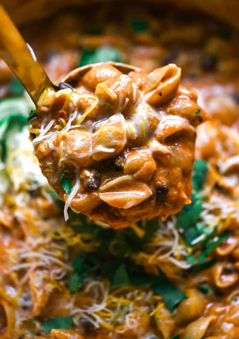 19 Best Sour Cream & Pasta Dinner Recipes