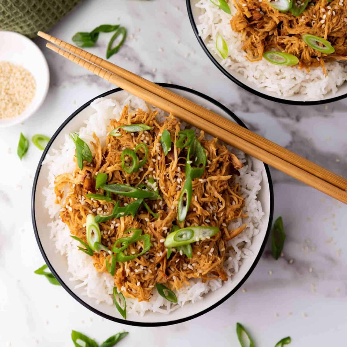 Crockpot Slow Cooker Soy Honey Garlic Chicken
