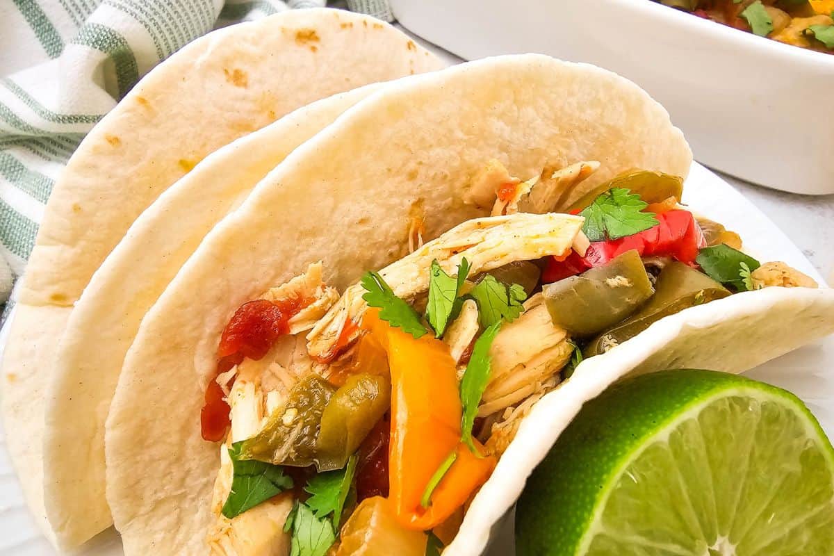 Close-up photo of a plate of chicken fajitas with tender chicken, peppers, and onions served in warm tortillas.