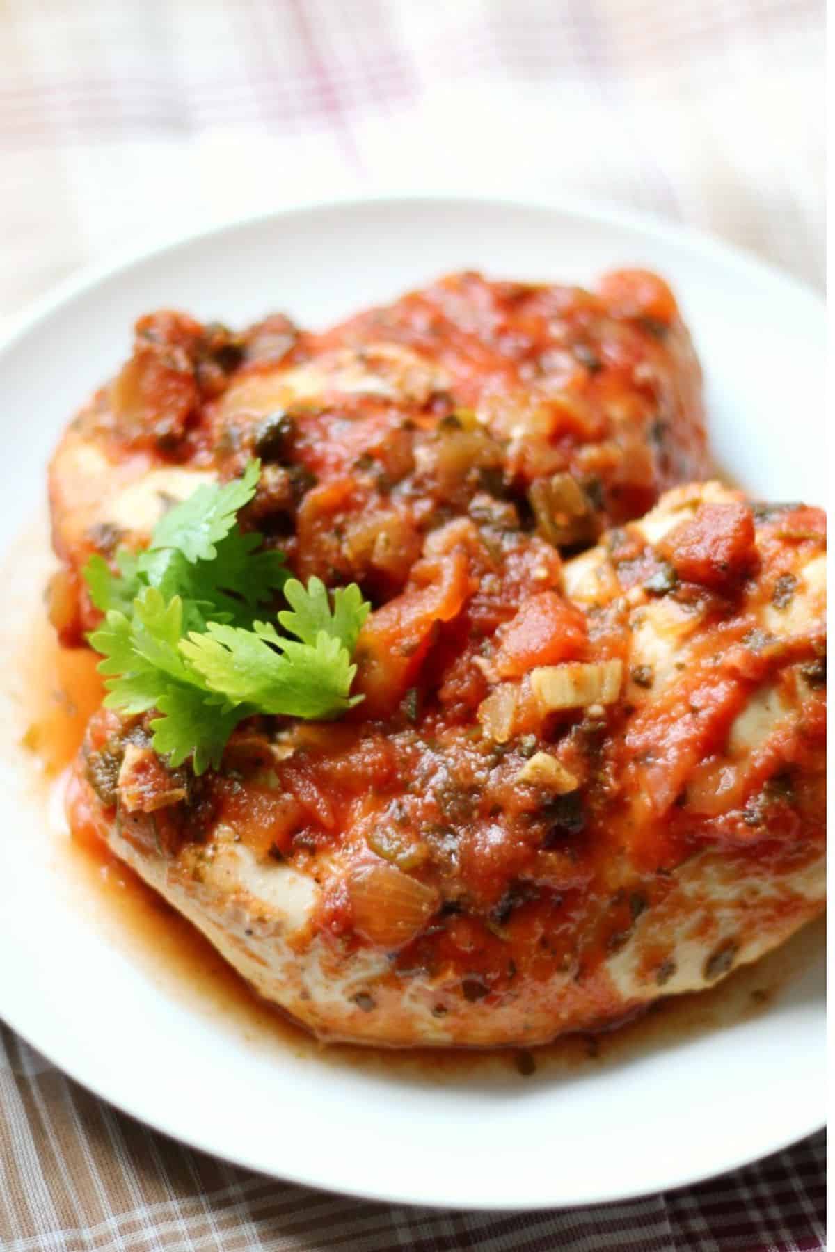 Close-up of chicken salsa served on a plate, showing tender chicken pieces coated in salsa.