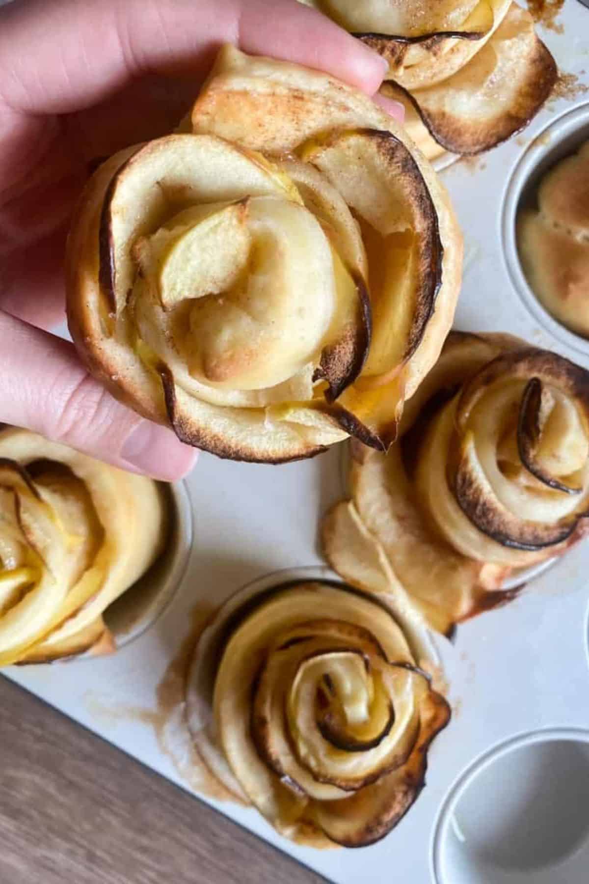 A hand holding one sourdough apple cinnamon roll rose, with several more arranged in the background.