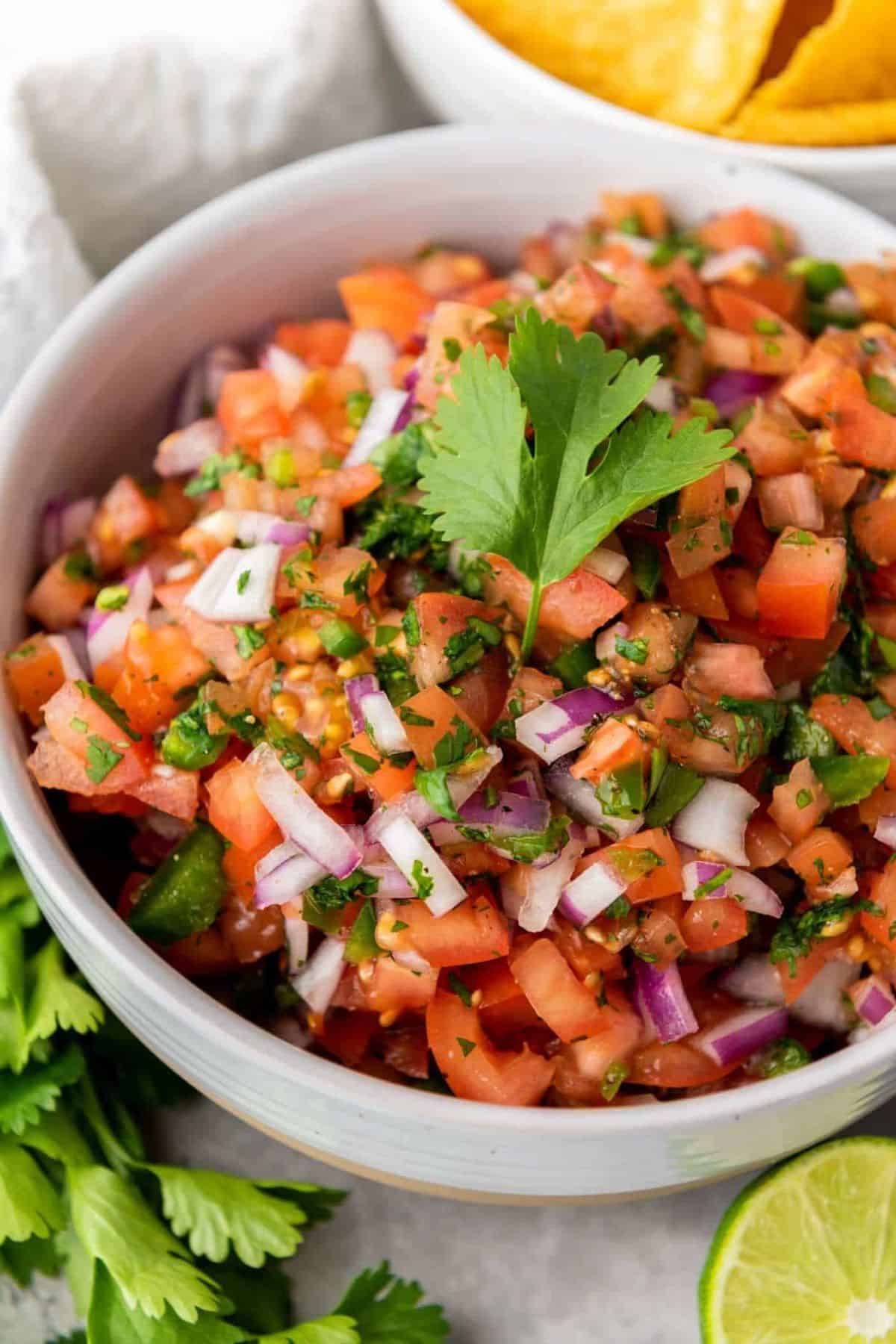 Fresh tomato salsa served in a bowl, showing vibrant colors and chopped ingredients.