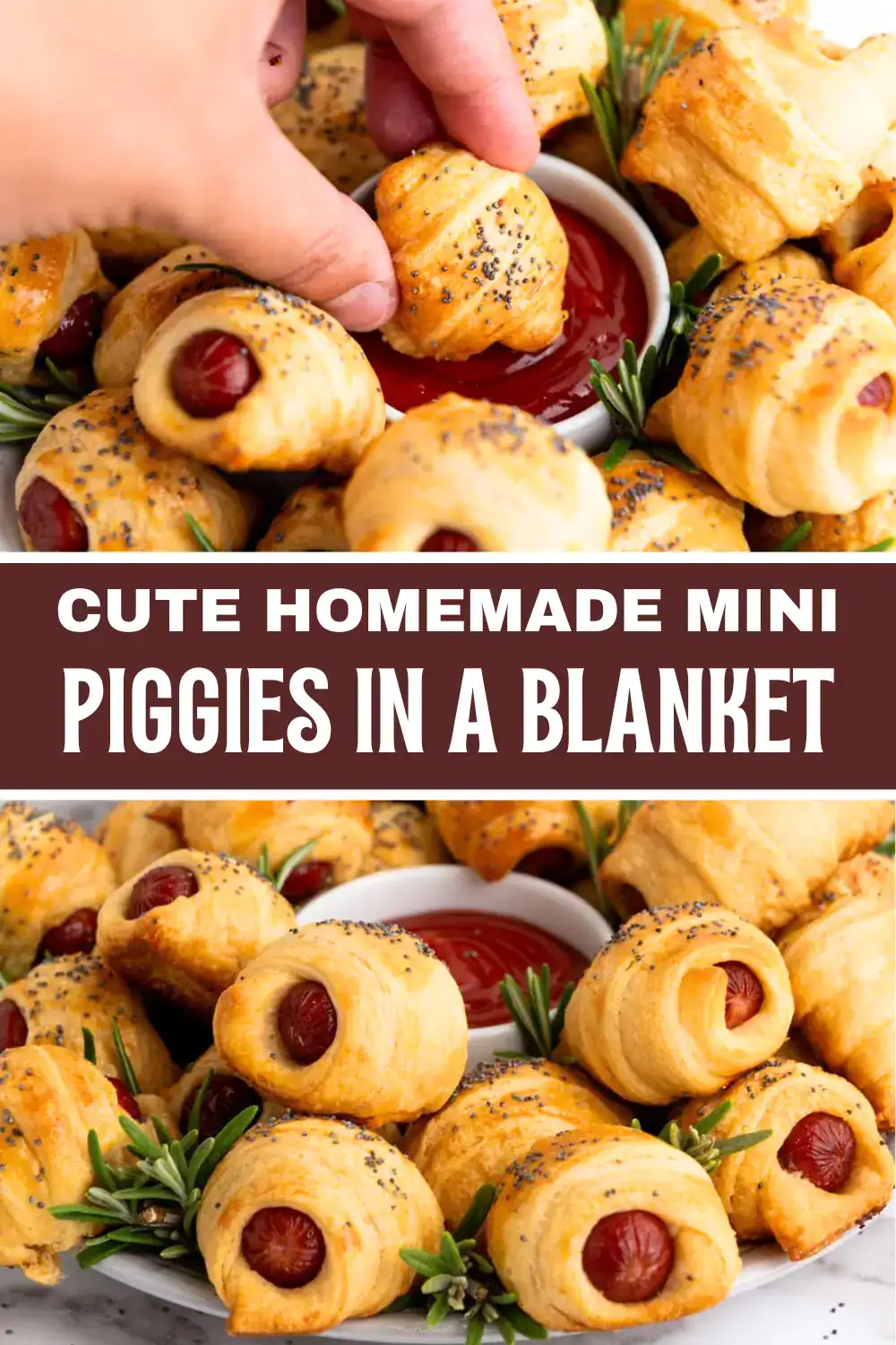 mini pigs in a blanket