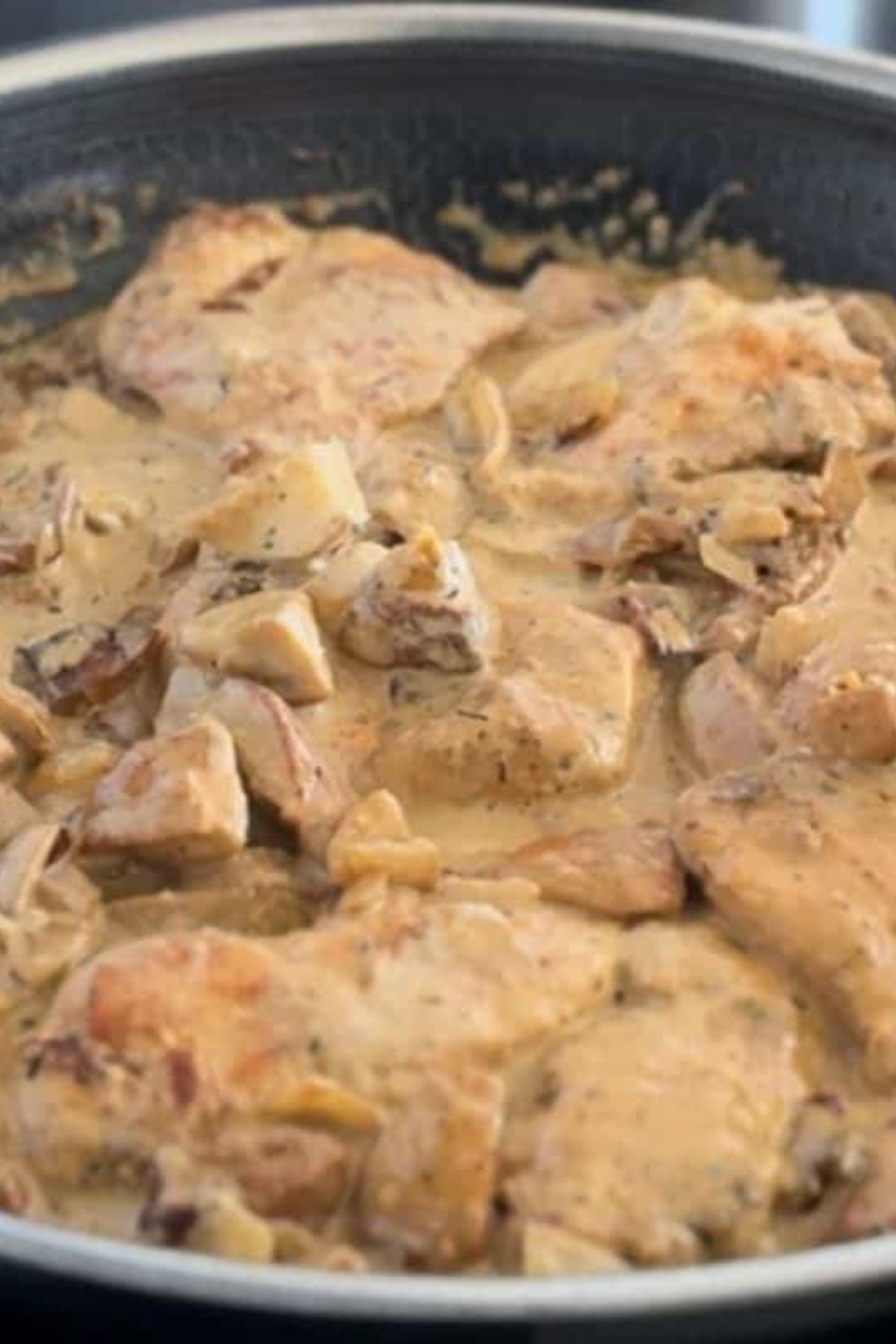 Close-up of creamy porcini chicken showing chicken pieces and mushrooms in a creamy sauce.